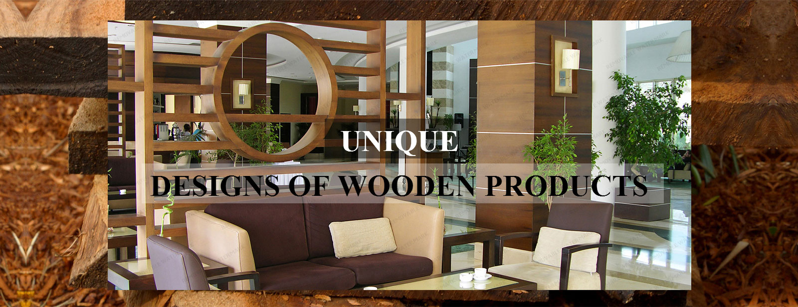 “清道夫”首现柳江水域 鱼身有成人胳膊般粗